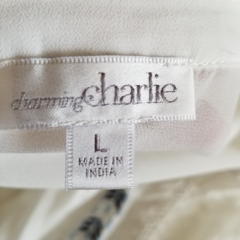 Charming Charlie Sheer 3/4 Sleeve Blouse Lg - Picture 5 of 9